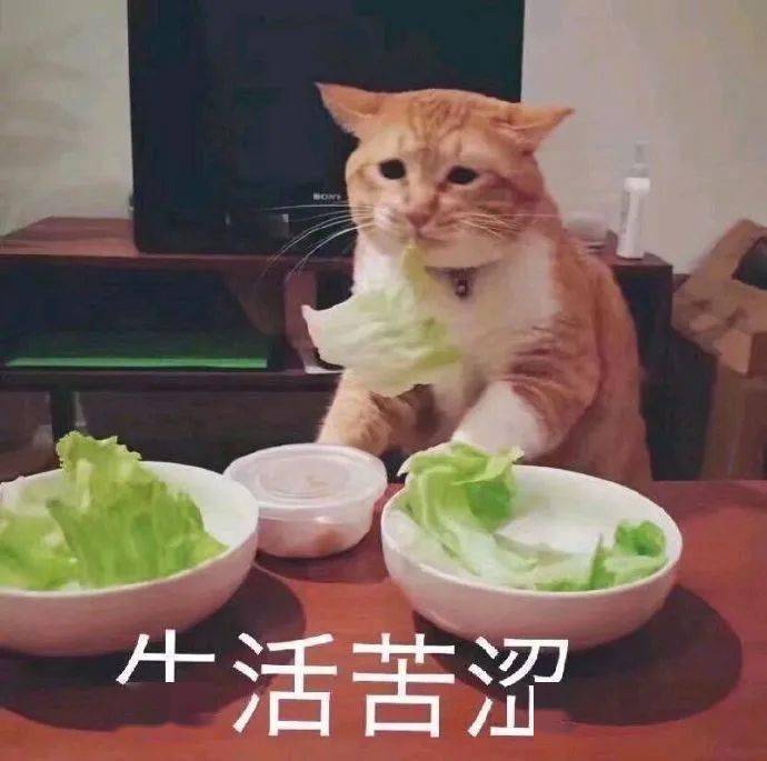 e651e539ac4f447c9bbce32d77f93f9a.jpeg