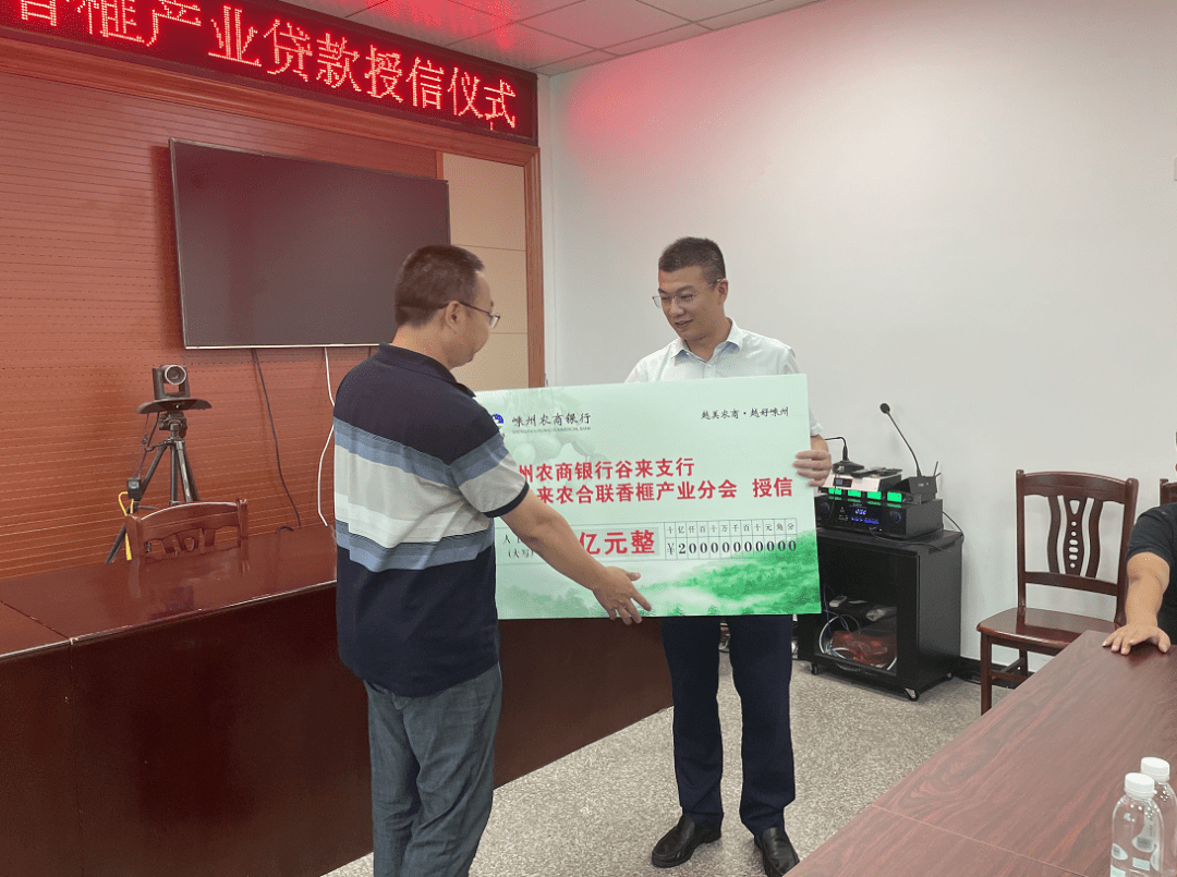 9月初香榧将开摘这家银行为谷来榧农授信2亿元