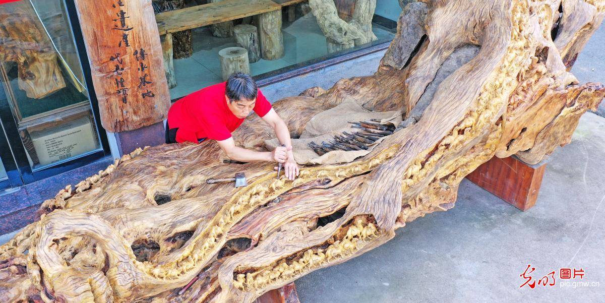 of|Root Carving Art Museum in E China's Zhejiang letting more people get to know the craft