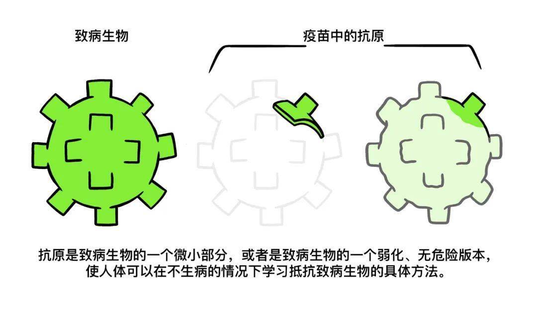 a527a5304f5542e8a0a141da65d0206e.jpeg