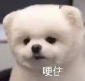 档期|《八佰》日本定档;何润东导演新剧首款预告