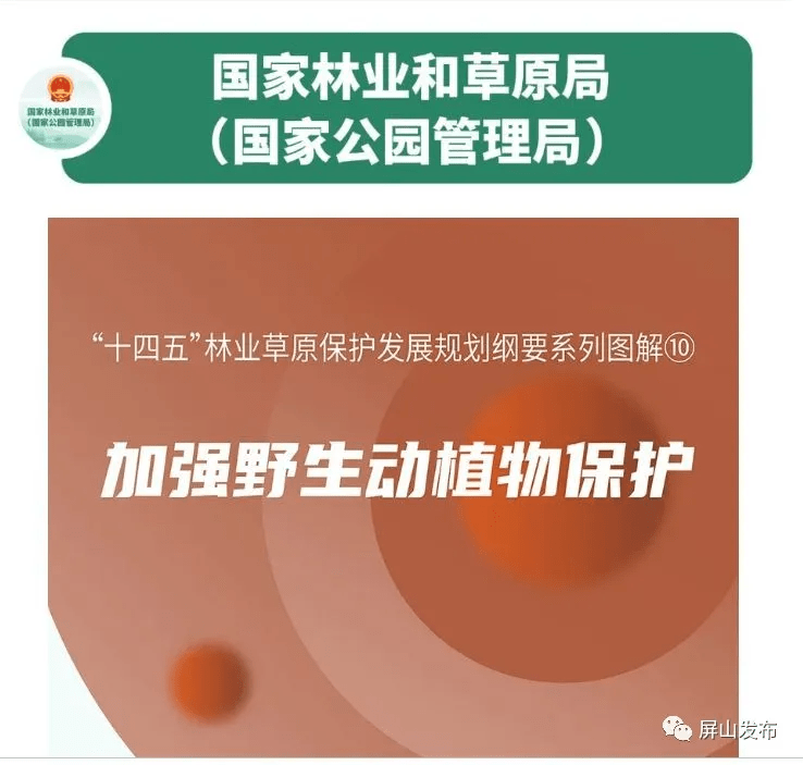 国家林业和草原局官方微信公众号公示:四川山鹧鸪被列入国家"十四五"