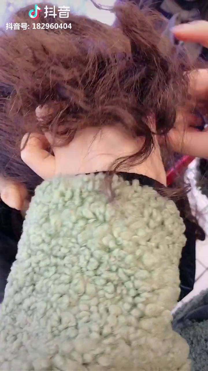 头发干燥毛燥最适合的毛毛虫