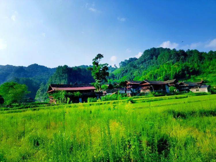 沅陵乡村小溪之恋马底驿乡奔溪