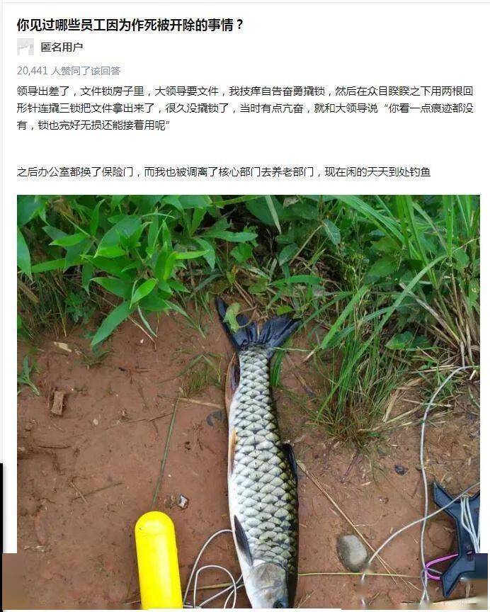 盒娘脚尖加固酸臭锁住rpprprpr