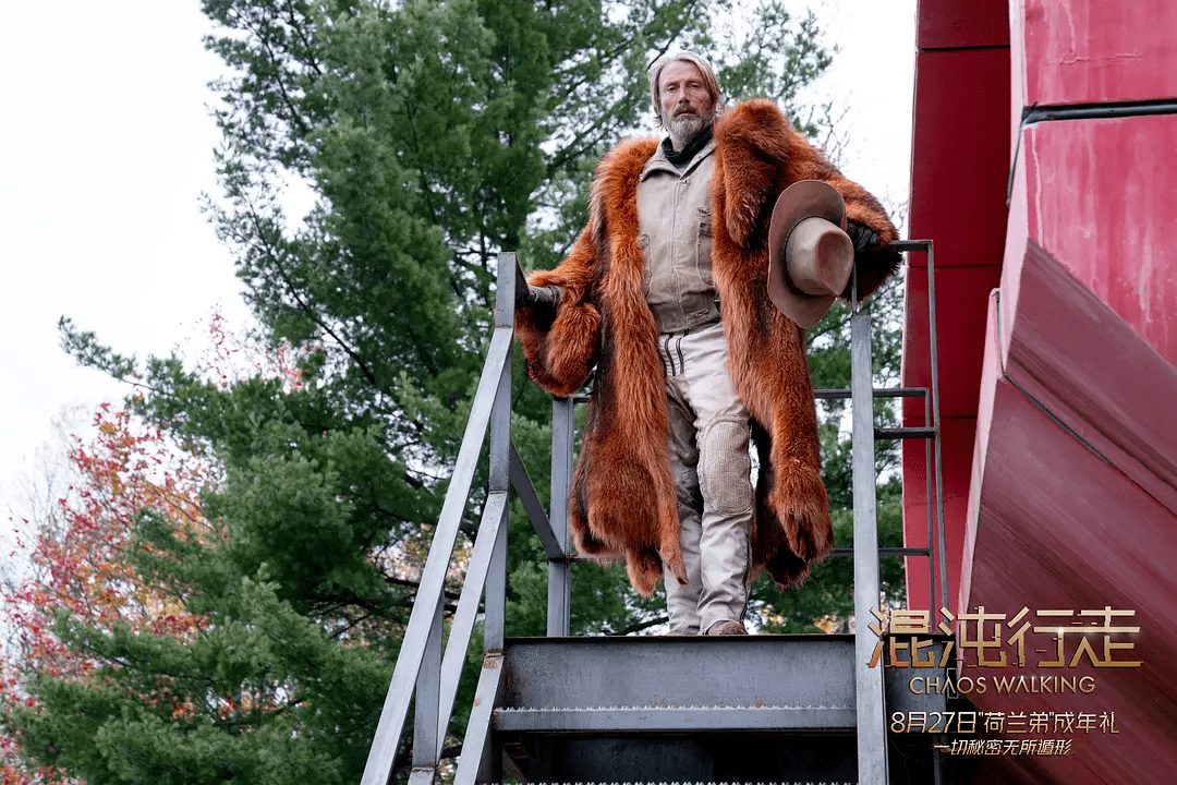 托德·赫维特|由内而外！这片把荷兰弟“扒了精光”！