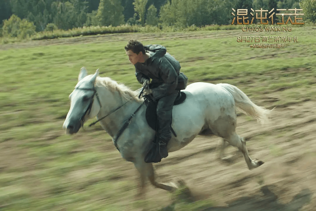 托德·赫维特|由内而外！这片把荷兰弟“扒了精光”！