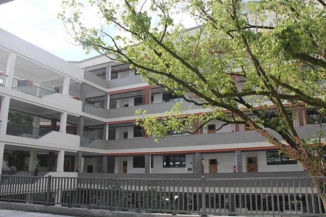 丽水实验学校新校区图片