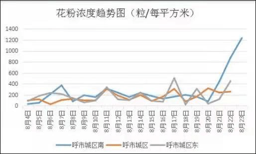 注意防护 呼和浩特花粉浓度预计未来一周仍处于偏高级别 传播