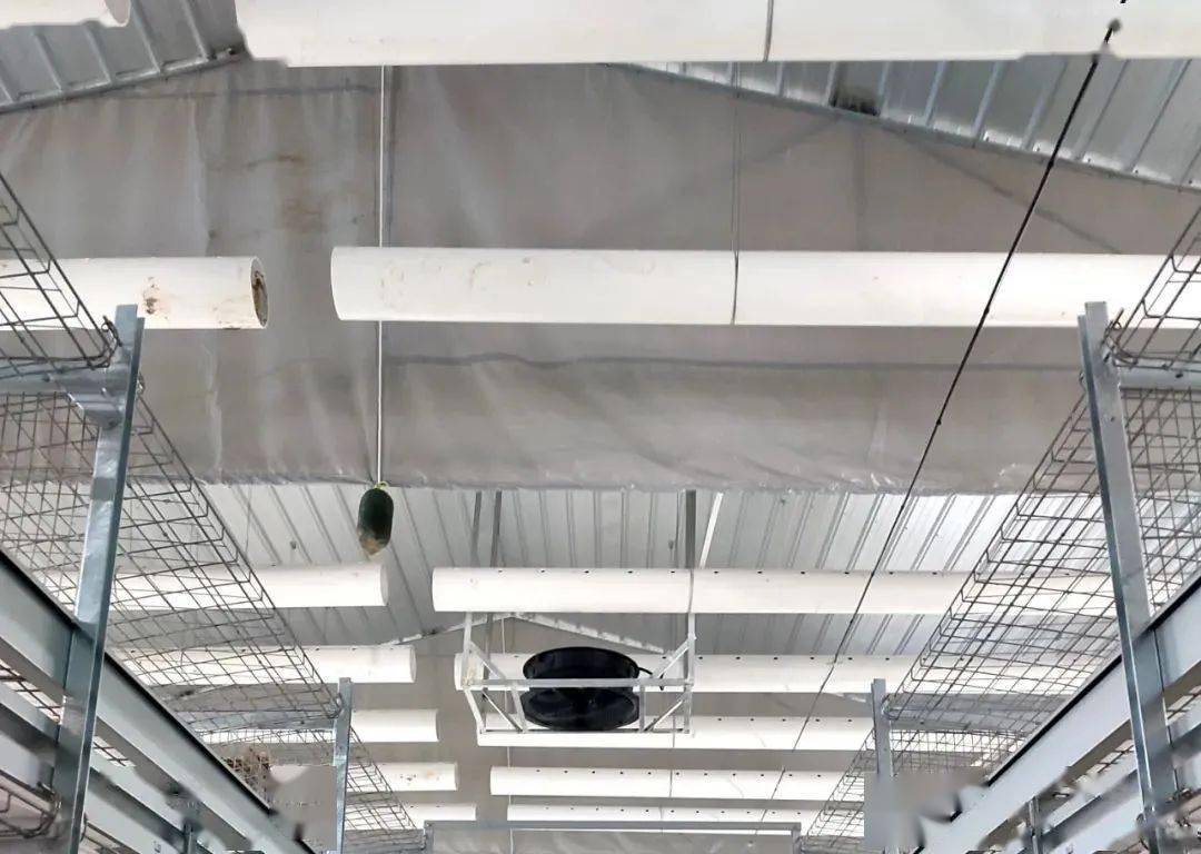 挡风帘就会对舍内压力产生较大的影响,使风机的风量下降,最终影响鸡舍