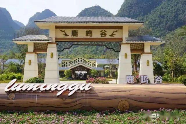 萌萌哒小鹿来袭享受亲子时光泳池梅花鹿互动鹿鸣谷度酒店亲子套票