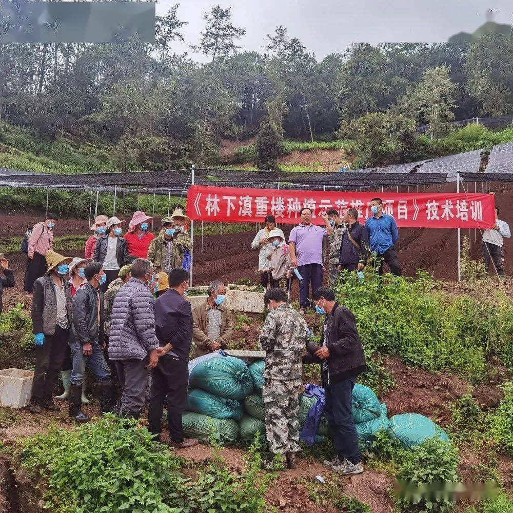 致富门路创业项目介绍文案范文(致富门路创业项目介绍文案范文图片)