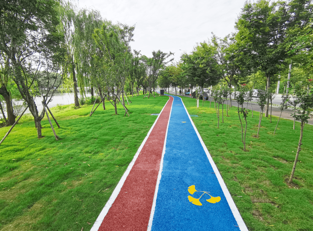 河边有一条道,漂亮到不行,适合逛逛,还适合健身……_游步道