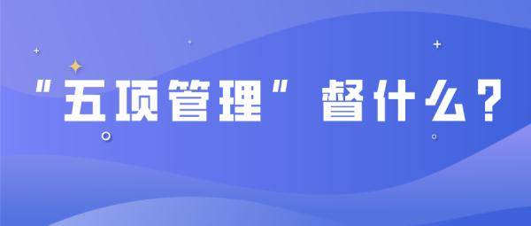 手机|作业、手机……新学期青岛中小学有这些变化→