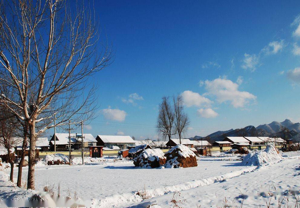 乡情散文老家的新立屯