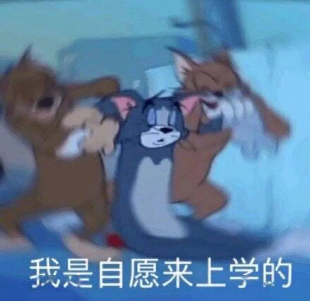 补作业表情包 | 你的作业写完了吗~_cr