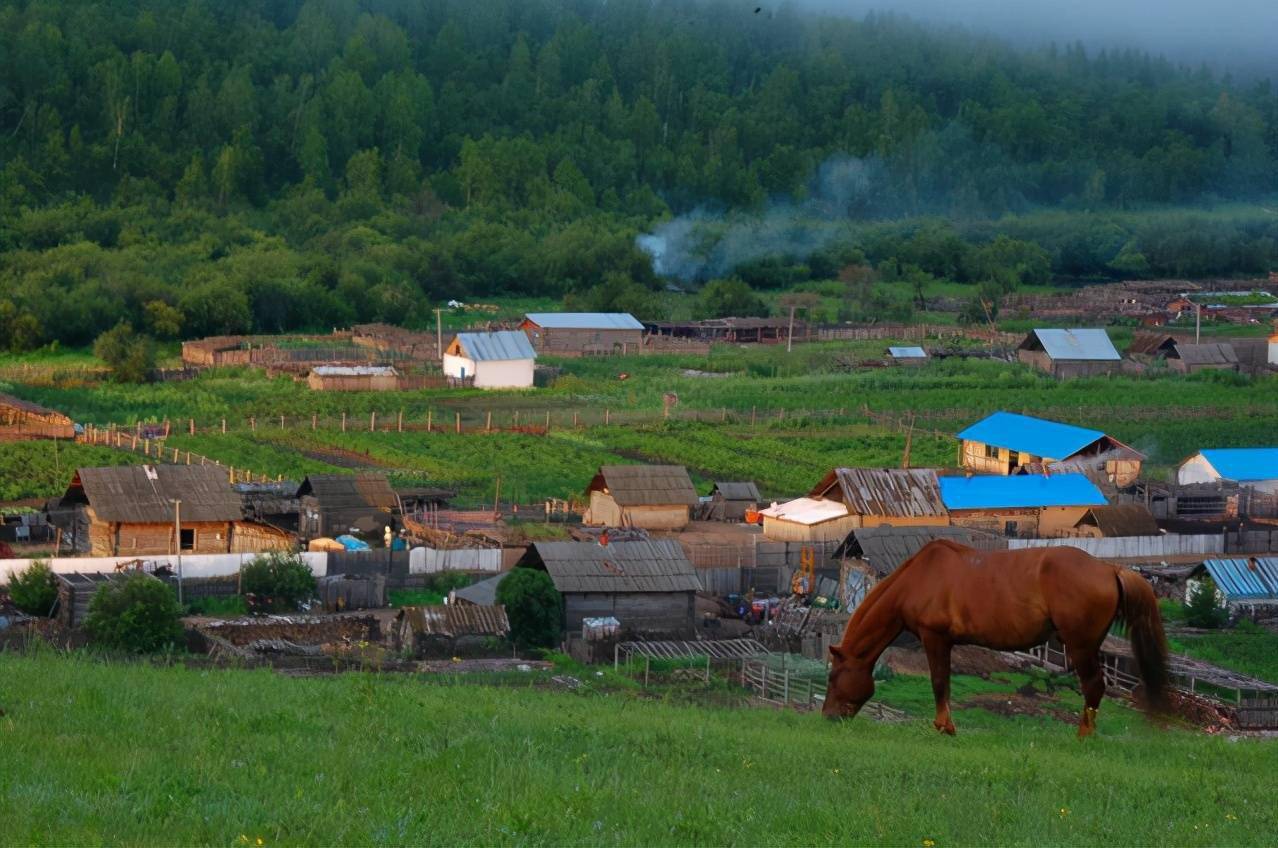 乡情散文老家的新立屯