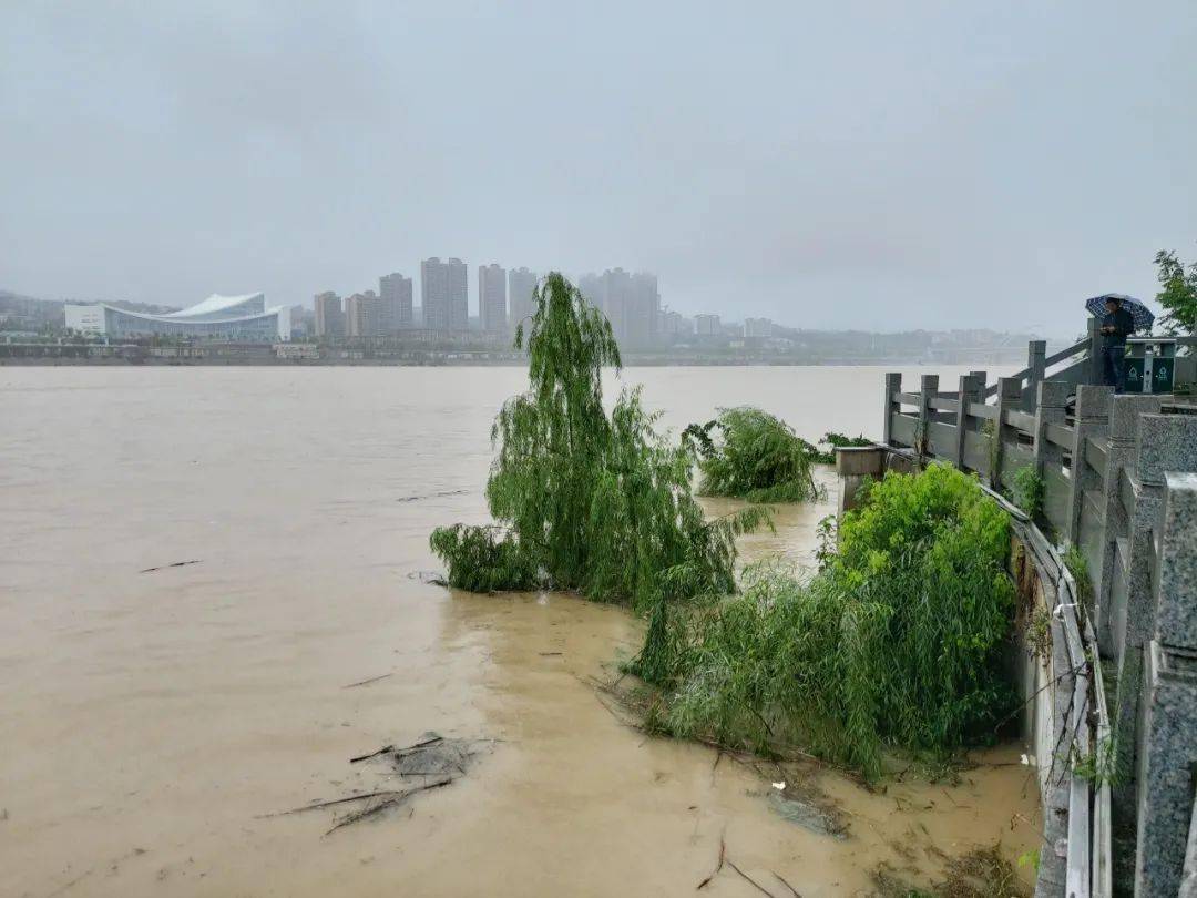 88050人受灾直接经济损失22亿直击暴雨中的安康
