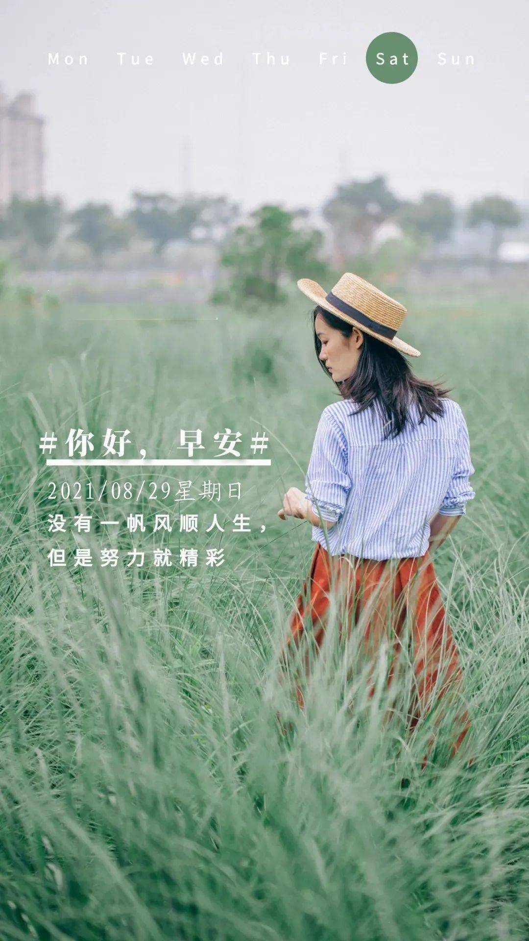 8月29日早安 | 新的一天,加油,成为一个更优秀的自己!