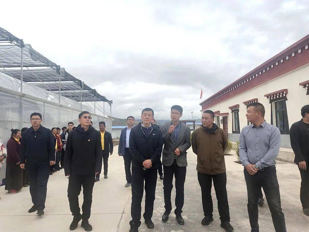 援藏进行时|对口帮扶聚焦优势产业 携手同行助力丁青发展—天津北辰