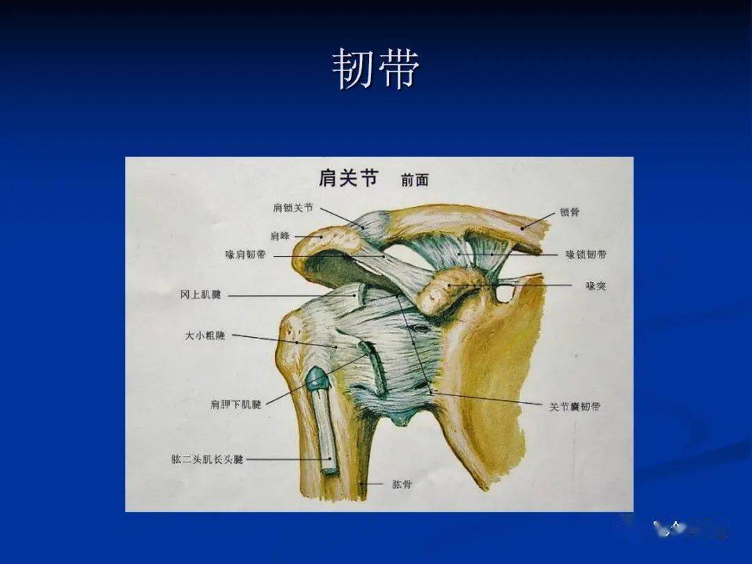 间隙的影像解剖及常见疾病【经典回顾】反晕征的诊断与鉴别诊断【经典