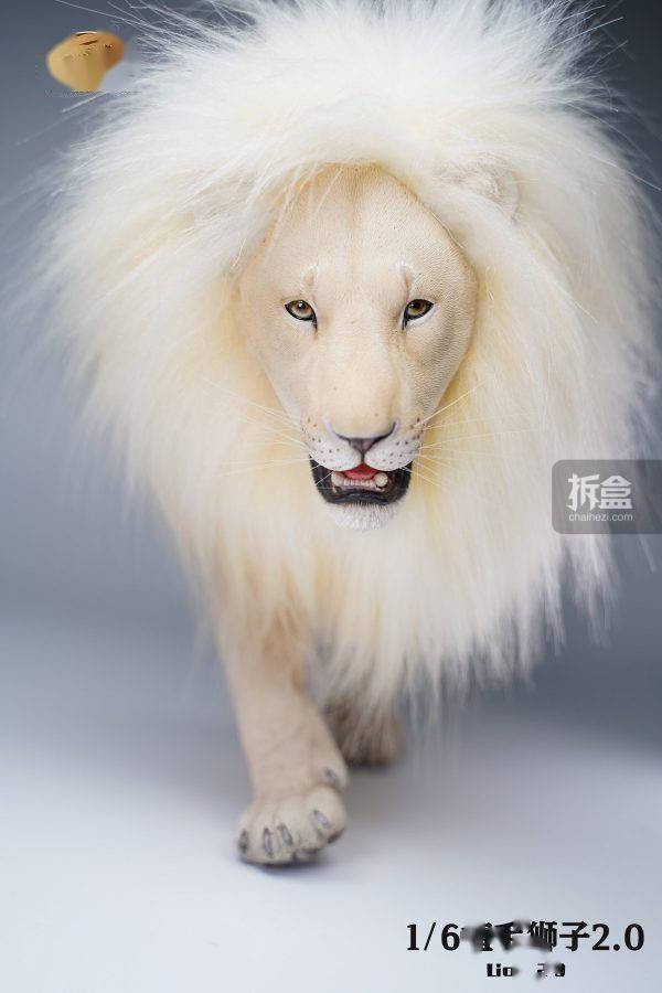 jxkstudio16植毛狮子动物仿真模型迷你手办摆件