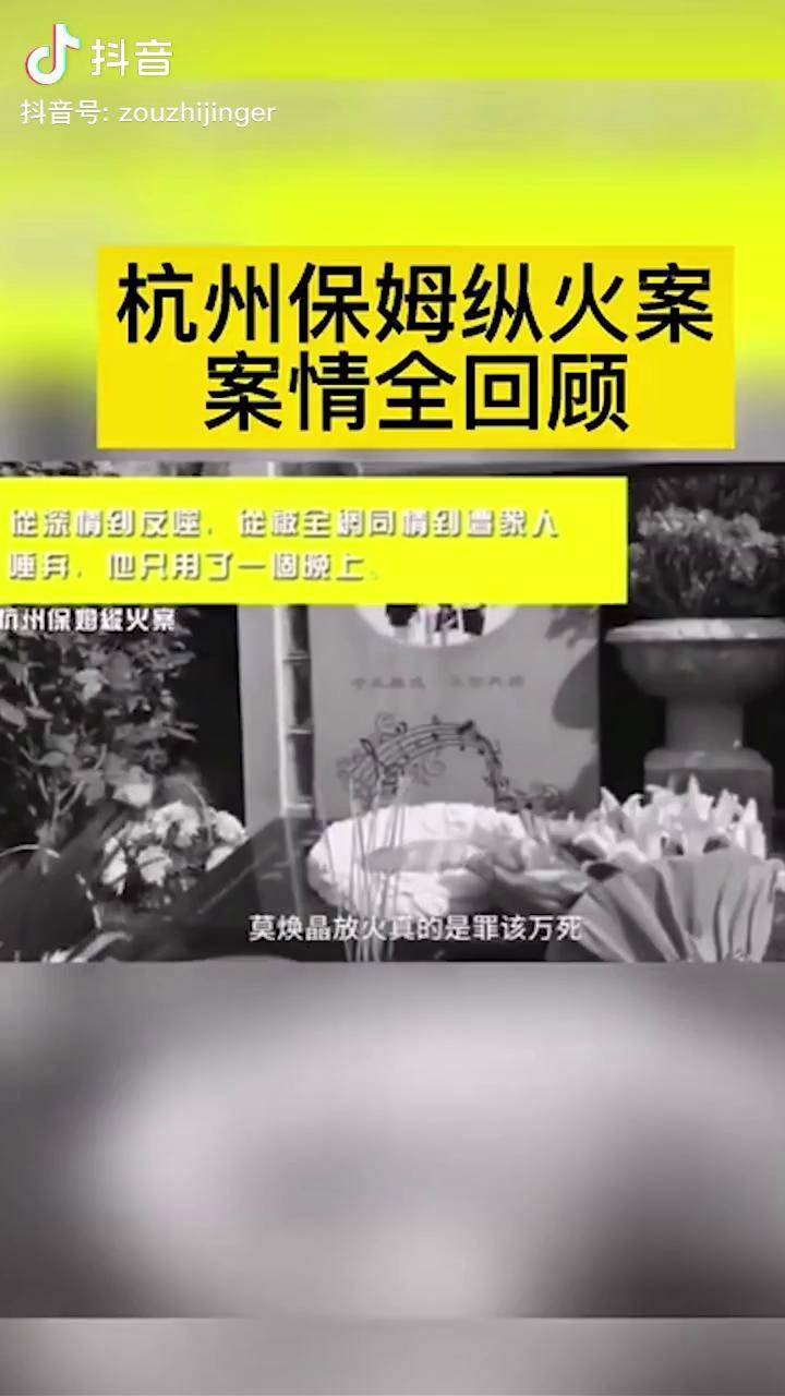 保姆纵火案事件全过程图片