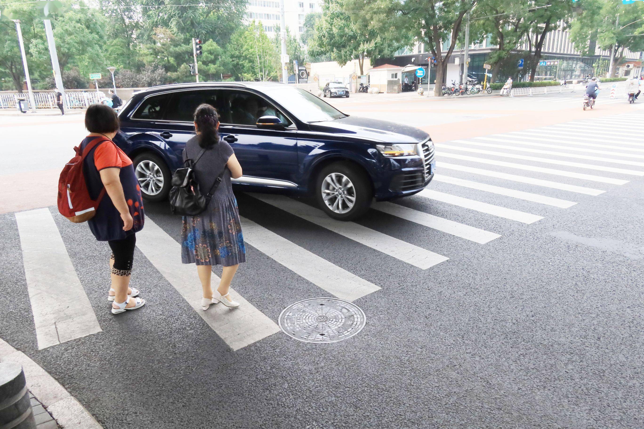 礼让行人拍照图片