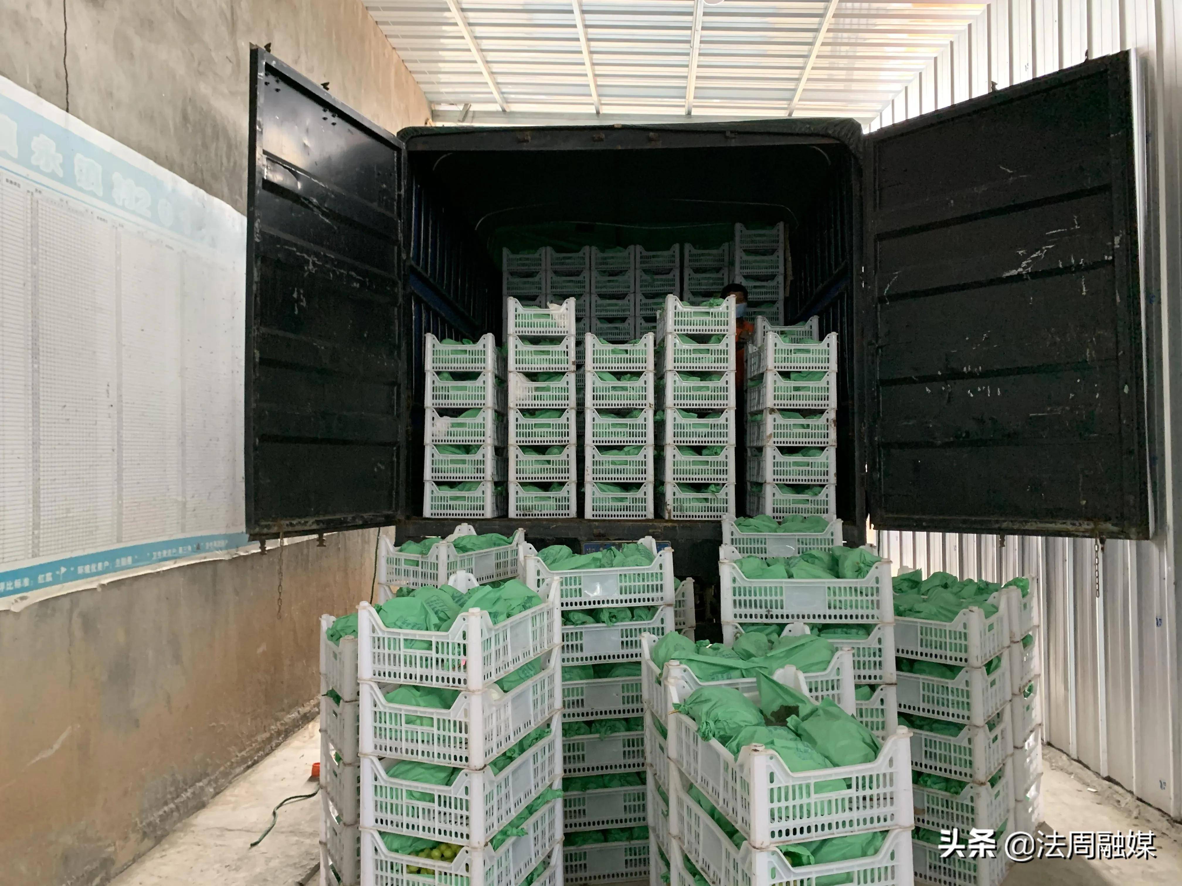 澧县如东镇加强仓储保鲜冷链设施建设加快产业发展助力乡村振兴