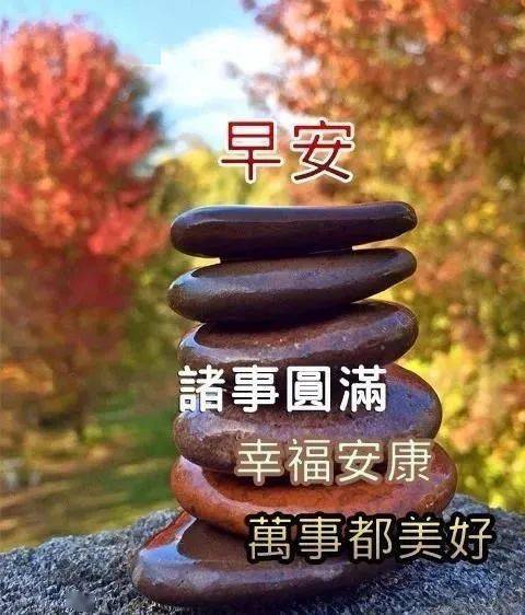 非常好看的早上好祝福语鲜花表情图片大全微信很美的鲜花早上好问候语