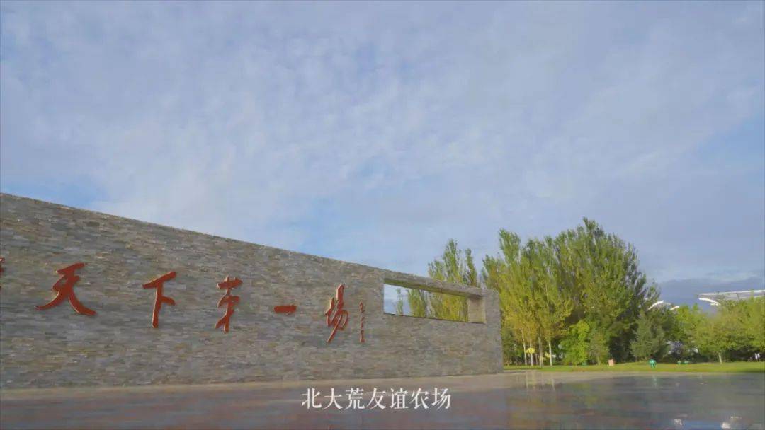 刘占文|太好吃了!不愧是获得金奖的玉米