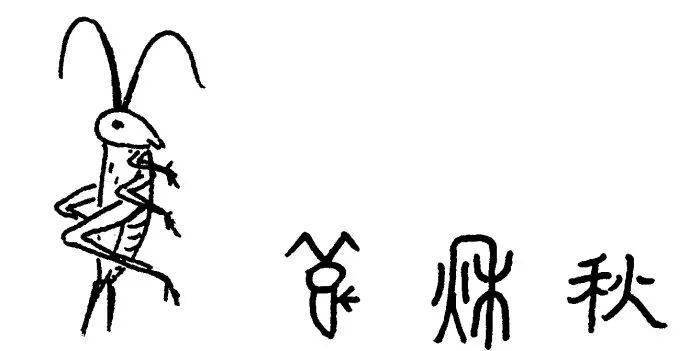 古代漢字中的秋字鬥蟋蟀首先要挑身強力壯,善斗的要選頭大,牙大