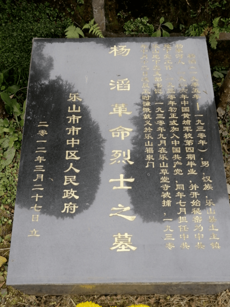 【巴蜀英烈】黄埔军校第四期学员,四川乐山籍革命烈士——杨滔