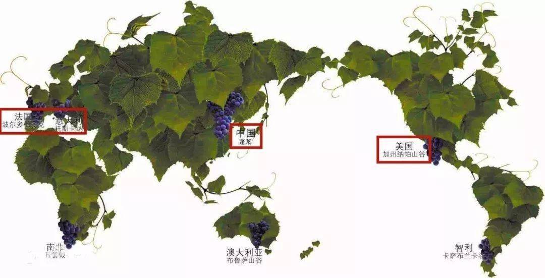 赛事|延期公告2021蓬莱葡萄酒国际马拉松,附退赛申请通道