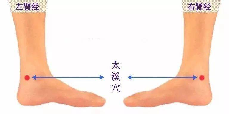 5788a55a9e4c4b258bf13fc9fc976cf2.jpeg