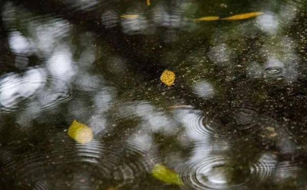支气管|9岁男孩学习时突然呼吸困难，急转至西安手术，惹祸的竟是它！西安疾控重要提示