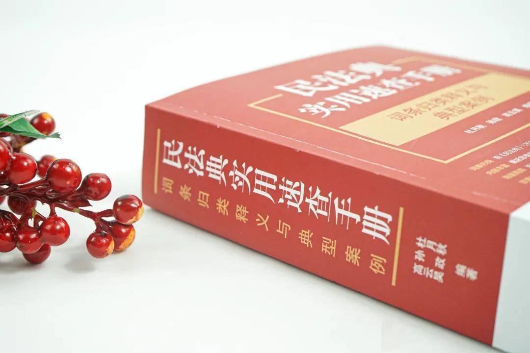 264张法条思维导图读懂民法典 原则