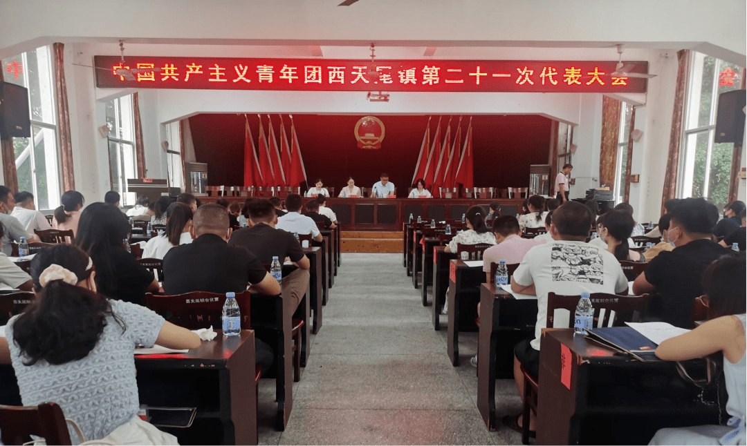 换届动态莆田市乡镇团委换届进行时第五期