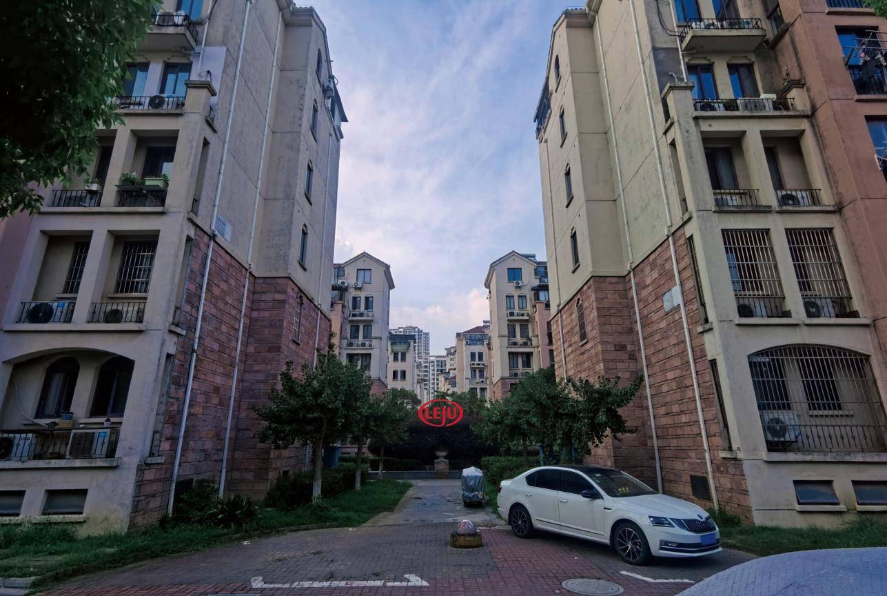 欧风丽苑二期蚂蚁竞走十七年