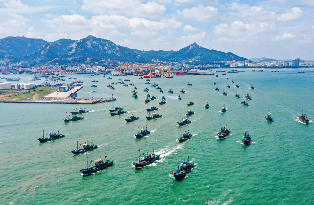 今年休渔期结束后,荣成市近2000艘渔船会根据天气和捕捞情况分批出海