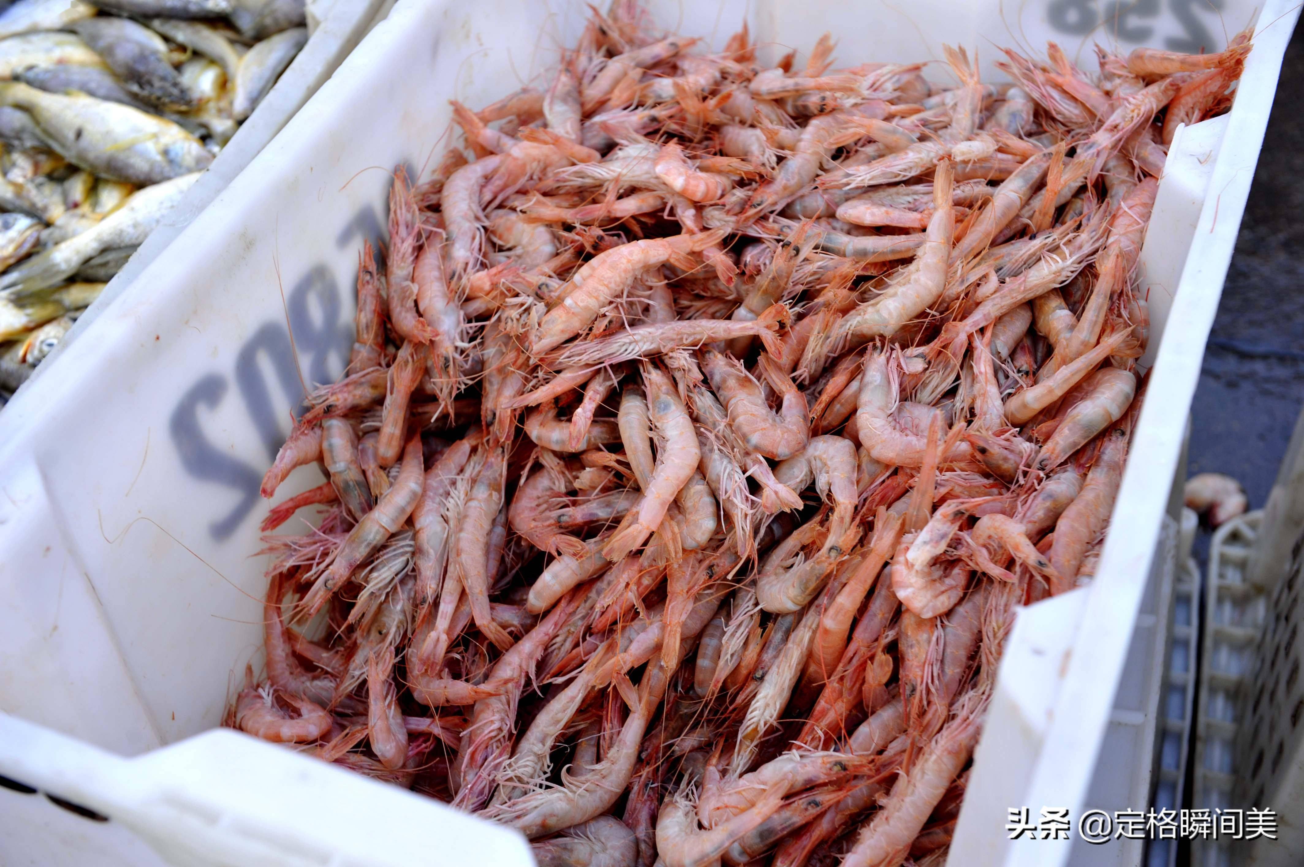 作为一名外乡人,青岛街头的大虾种类繁多,野生vs养殖很多人都不认识