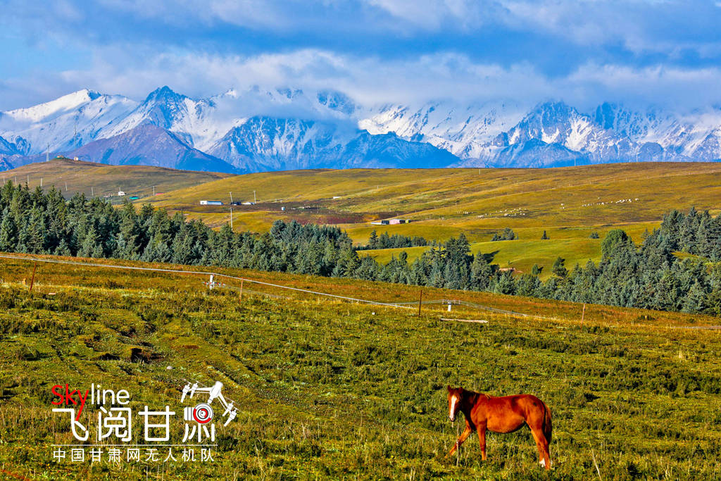 雪景|【“飞阅”甘肃】肃南：祁连深山秋来早 碧草绿叶微转黄