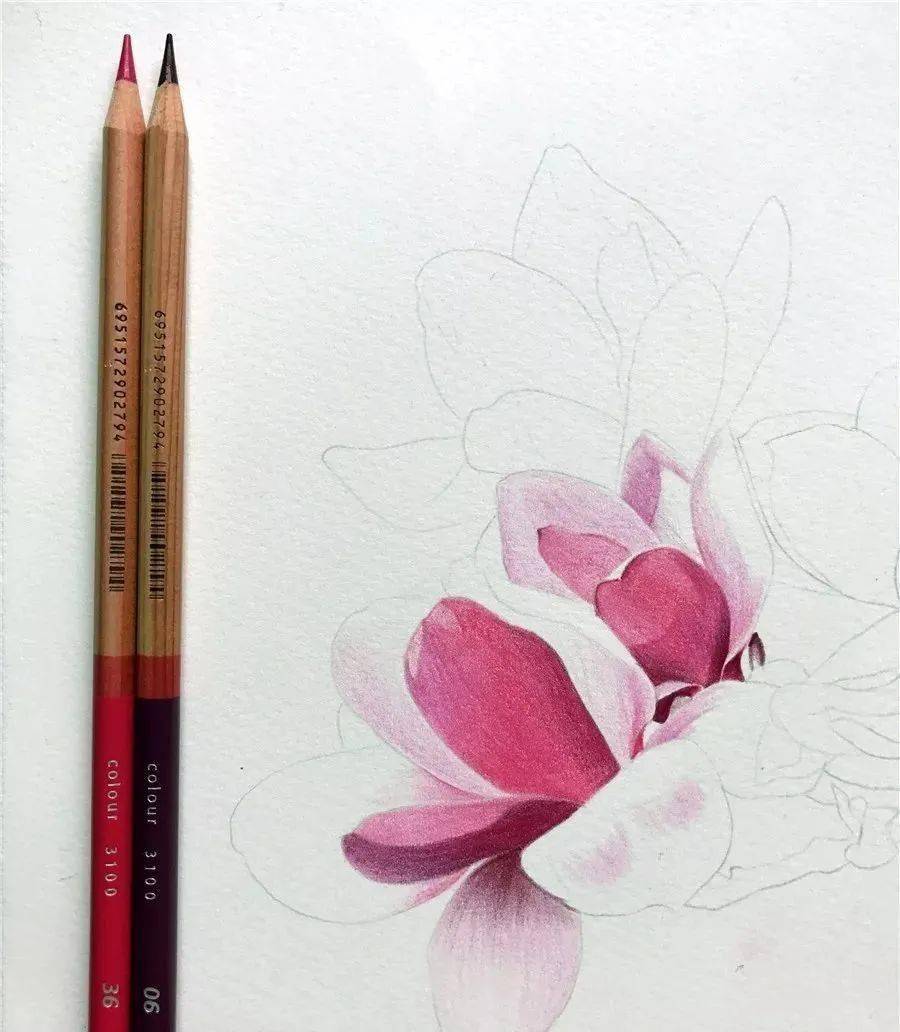 手绘春分插画彩铅二十四节气春分