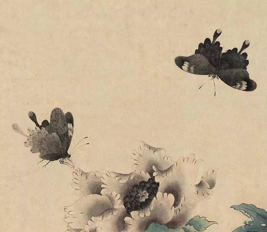 感觉蝴蝶在动,太逼真了!