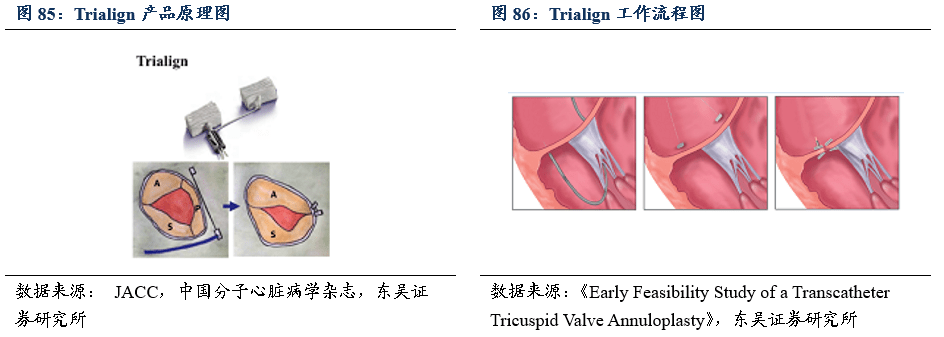 二尖瓣三尖瓣介入治療行業專題報告:百舸爭流,下一個黃金賽道誰主沉浮