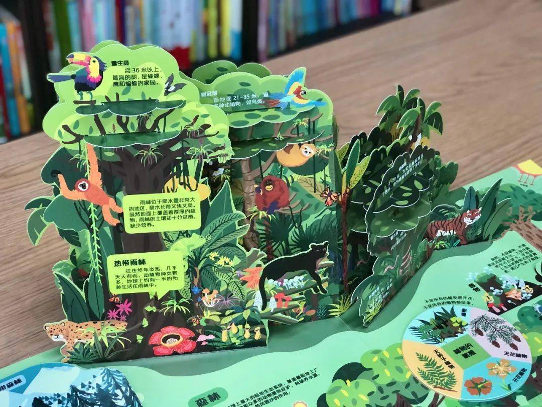 爱不释手系列超酷炫地球立体书让孩子上知天文下知地理给孩子量身打造