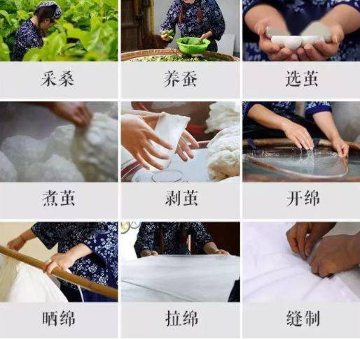 种桑养蚕做蚕丝被,看似只是重复的日常.