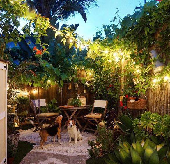 26个乡村庭院小花园看完是不是想要回农村建园子呢