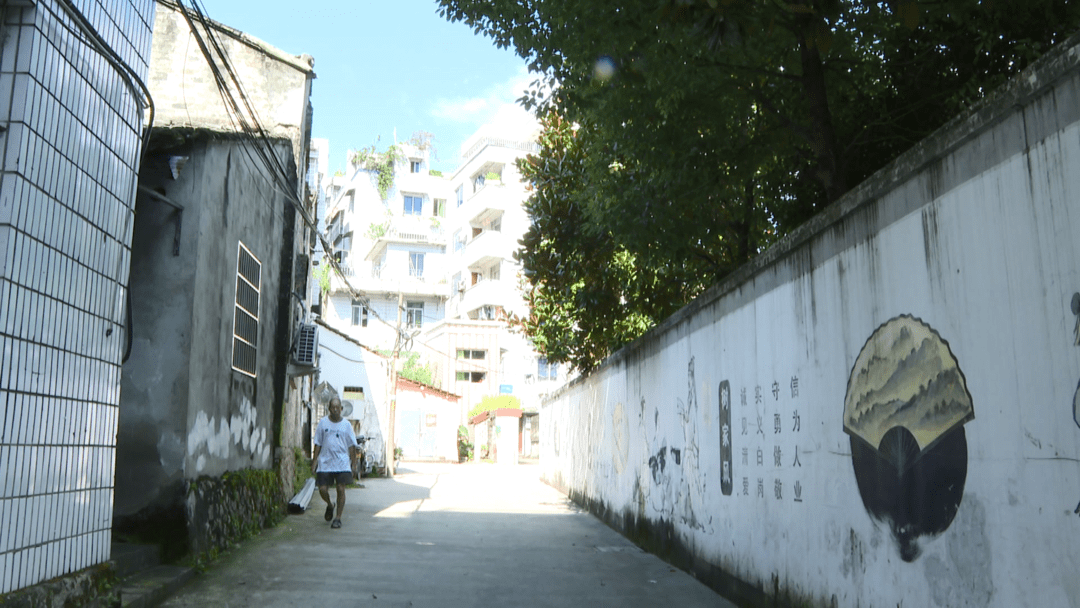 期待华美蜕变,新寺巷将迎来拆迁~_青田
