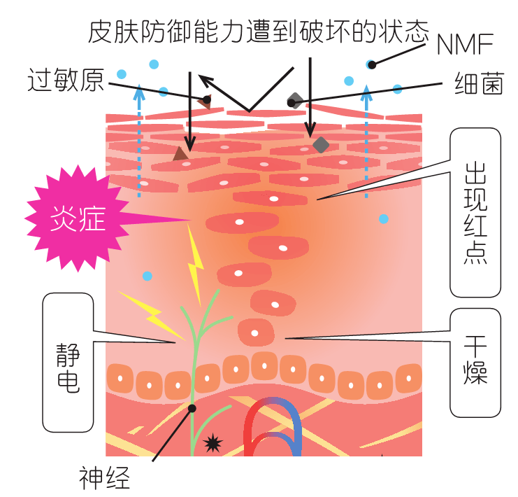 残留|刘涛分享沉浸式卸妆，轻柔洗脸加强皮肤防御！